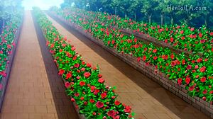 Otogibanashi No Onigokko Part 2: Intense 3D Cartoon Anime Hentai Scenes