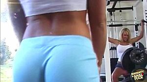 crazy bitches in orgy let guy slam thick dick