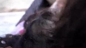 big booty milf stepmother offers unlimited pussy access