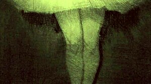 vintage erotic cartoon illustration