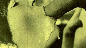 dark lantern entertainment vintage closeups from my secret life erotic confessions