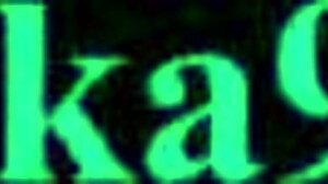 Is Zhezhi Orie fucking Camellya Tsubaki intensely in this hentai?