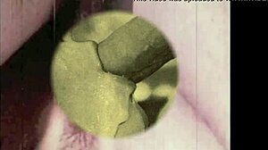 dark lantern entertainment vintage closeups from my secret life erotic confessions