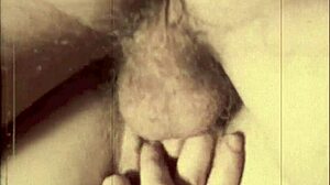 dark lantern entertainment vintage closeups from my secret life erotic confessions