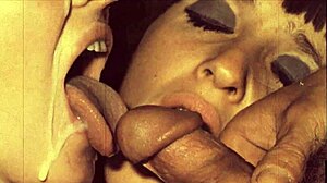 dark lantern entertainment vintage closeups from my secret life erotic confessions