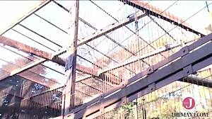 Sucking Cock Deep And Hard On All Fours With Vacuum Blowjob!