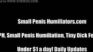 Is that tiny cock humiliating you? 😏