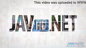 Japanese Naughty Girls Vol 12 Tease in High Definition Compilation