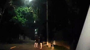 Couple fucks in the Uber.