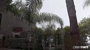 मूविंग डे कैटरीना कोल्ट के साथ हार्डकोर एनल में बदल गया