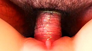 Watching Real Doll Get Fucked Close Up With Blowjob And Toys