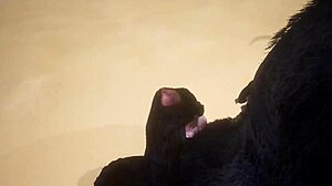 Pov two gay wolves fucking - wildlife.