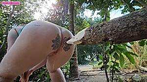 Quando Fasso Xixi no Mato, Penso em Tora no Cu