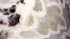 Ebony girl drilled in bedroom