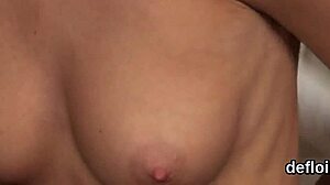 Cuddly kitten opens yummy twat for her first defloration experience