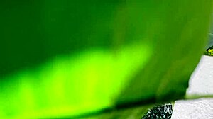 behind the scenes of a gay production