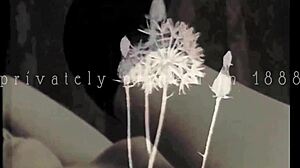 dark lantern presents step mothers' sins in victorian confessions.