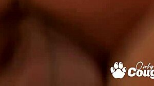 Audrey Bitoni bends over for doggystyle, her big tits fucked and jizzed on