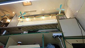 This crazy girl gets upskirted at work for extra money