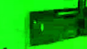 brunette poses for photographer cash