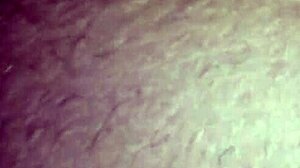 ann was suckin the black dick so good, i couldn't believe