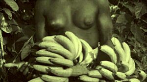 dark lantern entertainment shares vintage erotic confessions