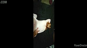 sexy redhead milf bent over for doggystyle