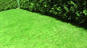 Beautiful German Chick Waits Open for Big Stick