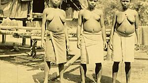 dark lantern entertainment shares vintage erotic confessions