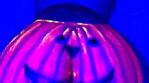 twerking the pumpkin with a big ass couple