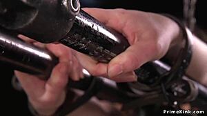 babe in doggy bondage getting whipped