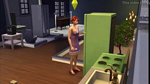 rose blooms in winter!