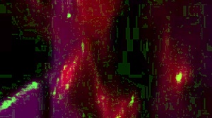 Can Stepsister Darcy Dark Handle Cum Inside Her Pussy?