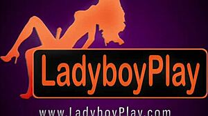 Ladyboy donut gets wet in thai hardcore scene