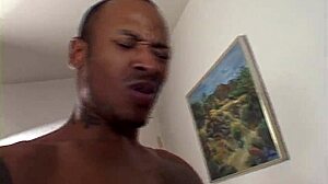 hit that phat ass in this hardcore scene, riding and cumshot included