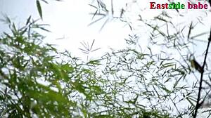 man, african black women and bbc get slammed outdoor in massive hardcore!!