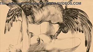 Vintage Erotic Drawings Collection