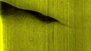 A vintage illustration depicts an erotic scene