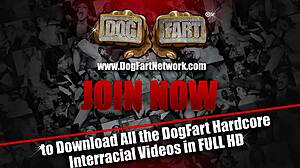 stella cox gets bbc anal at gloryhole