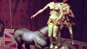 Hey, what’s so captivating about this vintage erotic illustration?