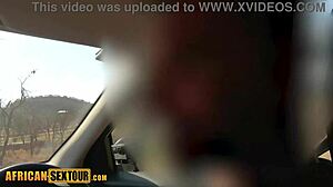 safari adventure with amateur african girl turned steamy at home