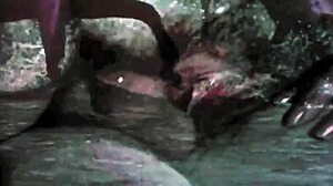 vintage taboo scenes with hairy pussy and outdoor beaver in retro doggystyle fantasies