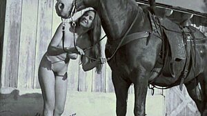 vintage taboo scenes with hairy pussy and outdoor beaver in retro doggystyle fantasies