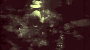 vintage taboo scenes with hairy pussy and outdoor beaver in retro doggystyle fantasies