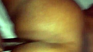 Perfect backshots with big cock pounding that ass!