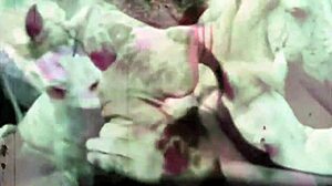 Vintage Taboo: Woman Bent Over for Doggystyle Fucking, Hairy Pussy and Ass Exposed Outdoors