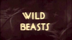 Vintage Taboo: Woman Bent Over for Doggystyle Fucking, Hairy Pussy and Ass Exposed Outdoors