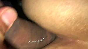 Novinho Eats Novinha's Tight Ass