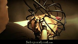 Look at this kinky slut tied up and spanked before dumped in cage