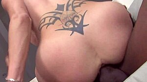 Young American Lady's Real Anal Orgasm With Black Stallion